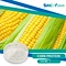 Corn protein is a good source of protein, containing about 60% protein by weight. It is also low in fat and carbohydrates, making it a good option for those on a low-fat or low-carbohydrate diet.